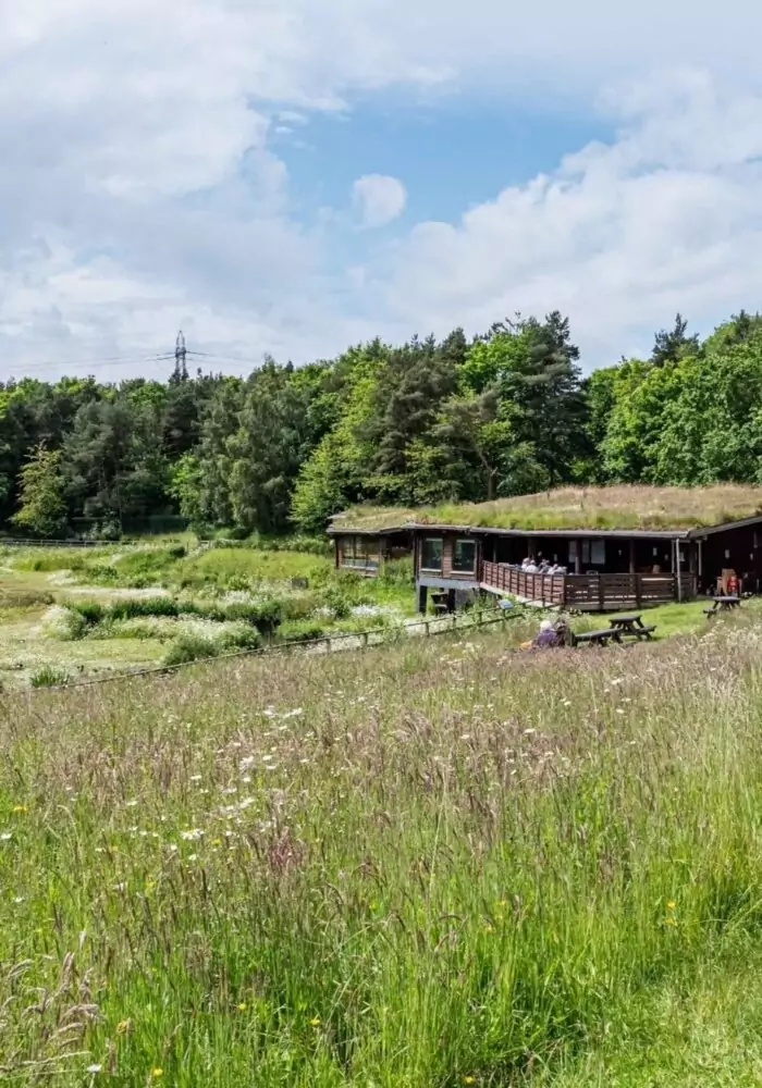 Bask and bite: 12 of the best picnic spots across the North East