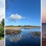 Step into summer: 6 North East walks to boost wellness and hit your step goals