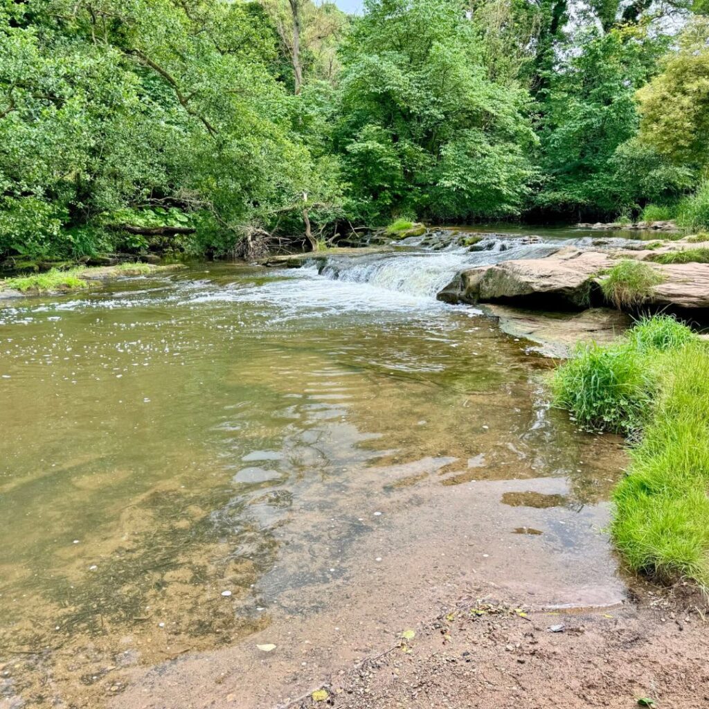 Wild swimming at Weary Bank Waterfall, Yarm