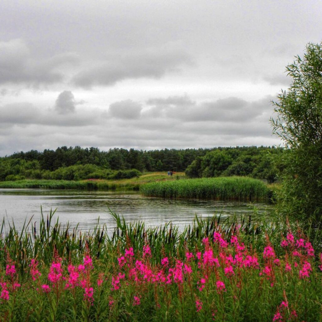 Wild swimming