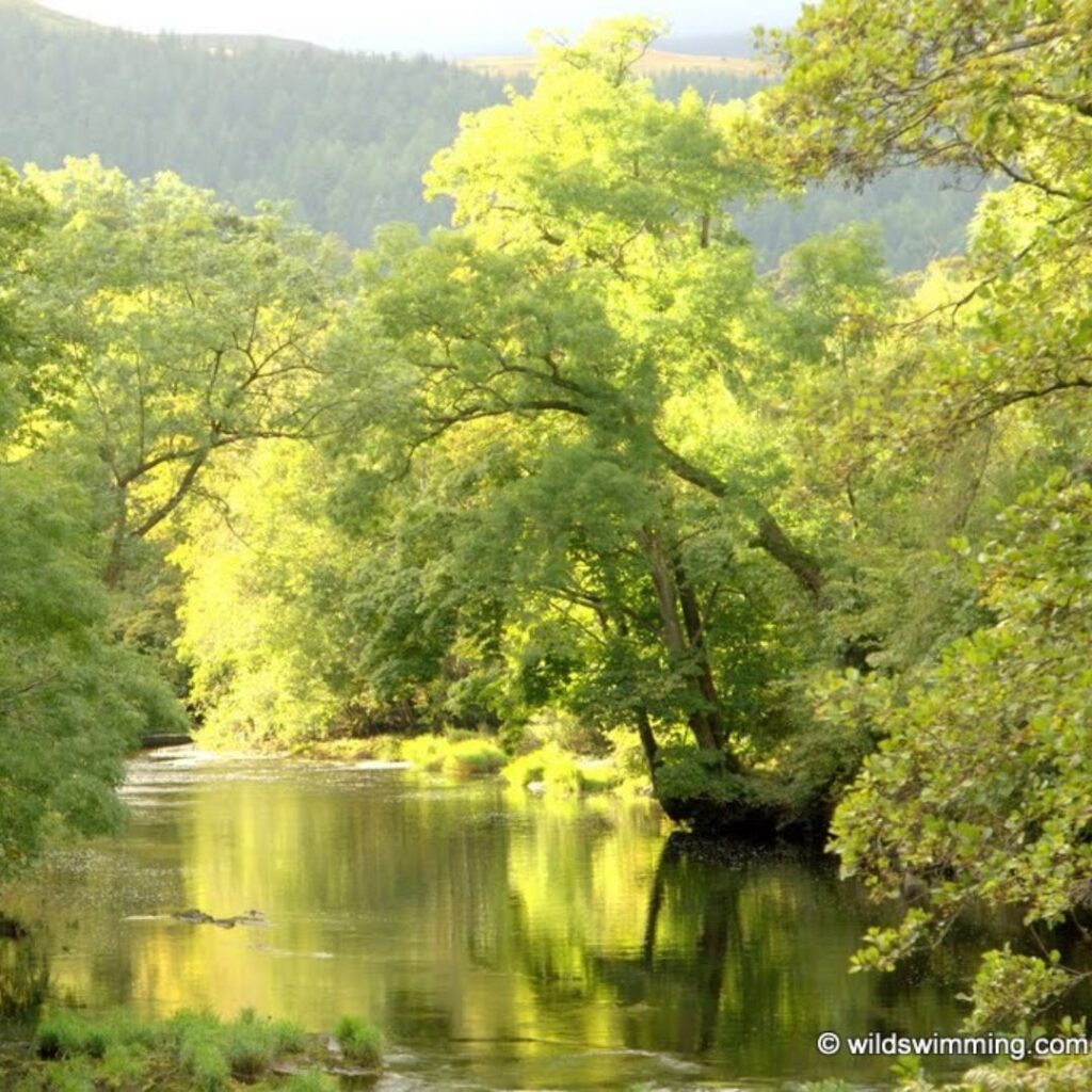 Wild swimming