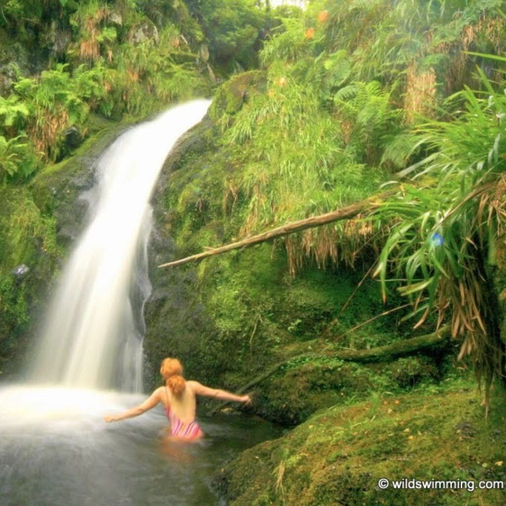 Wild swimming