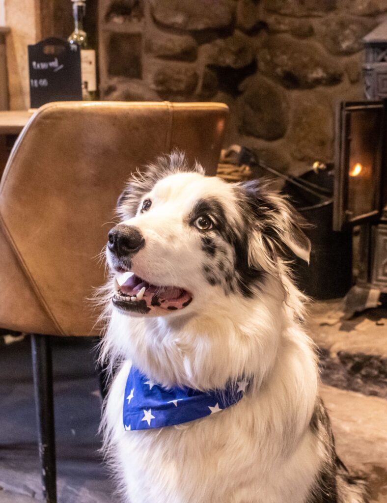 WADDINGTON ARMS, WADDINGTON