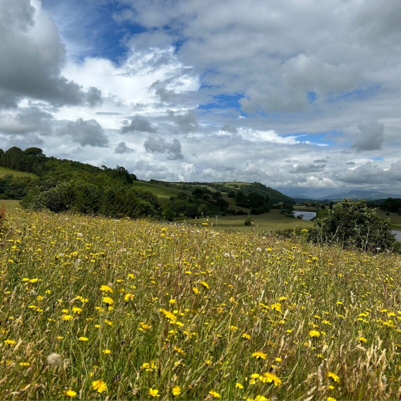 Forest of Bowland AONB