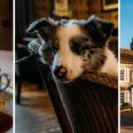 Our pawfect pick of dog-friendly hotels: Lancashire Edition