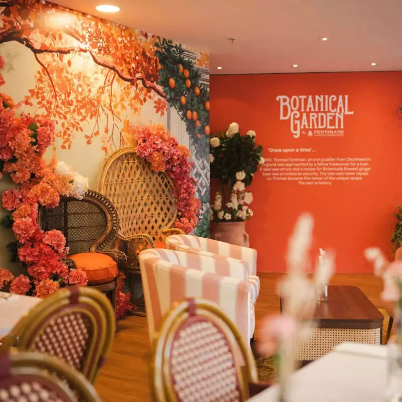 A dining space inside Fenwick Newcastle. The walls are orange with paintings of orange trees. Orange and white striped armchairs and wicker backed chairs are placed around tables. This is the garden room - part of Fenwick and Fentimans collaboration.