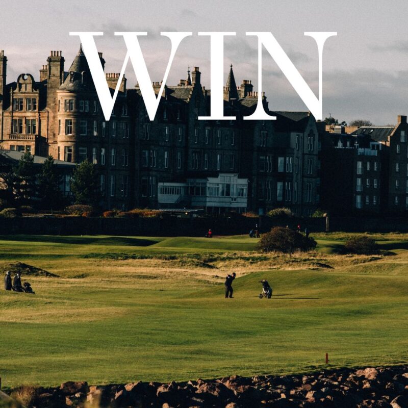 Marine & Lawn competition