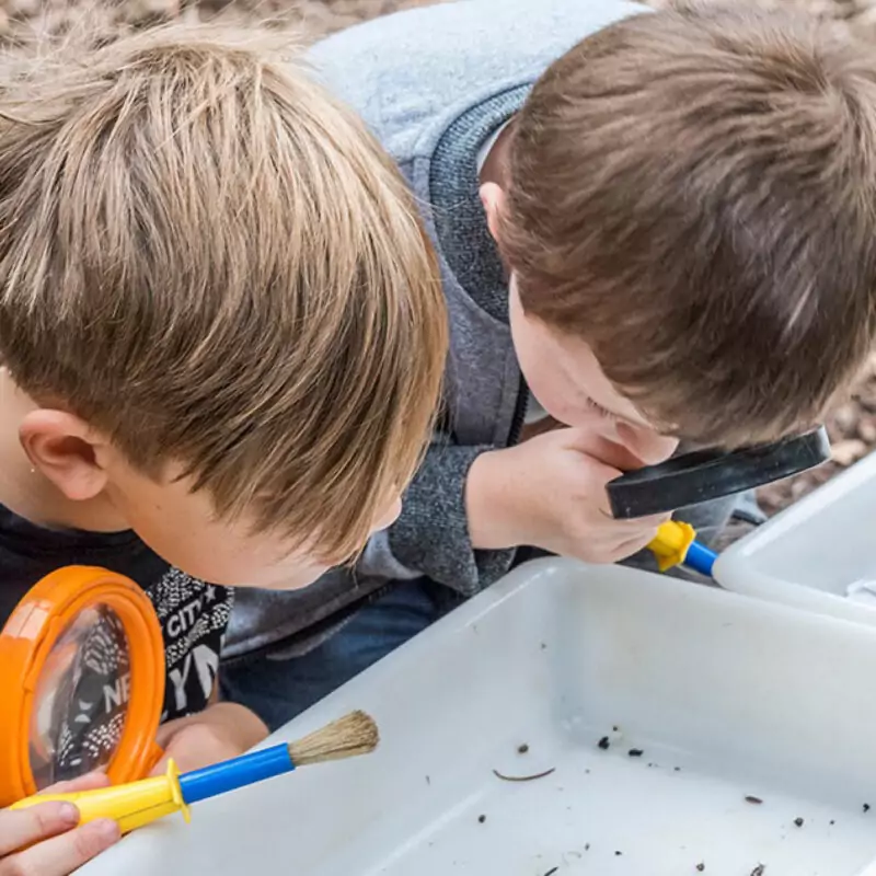 Two boys peer over a white tray to look at the insects in there. They hold magnifying glasses and brushes. They are taking part in minibeast hunting at Washington Wetland Centre.