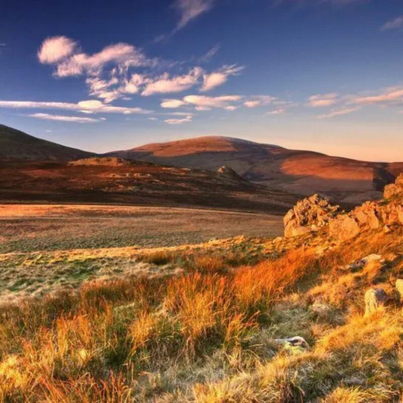 The Cheviots