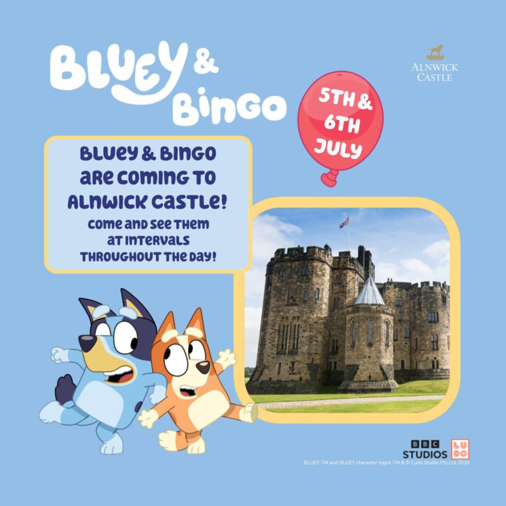 The cartoon dogs of Bluey and Bingo - one blue and one orange - dance into each other and grin. They are positioned on a pale blue background providing more information about the Bluey and Bingo meet and greet sessions at Alnwick Castle.