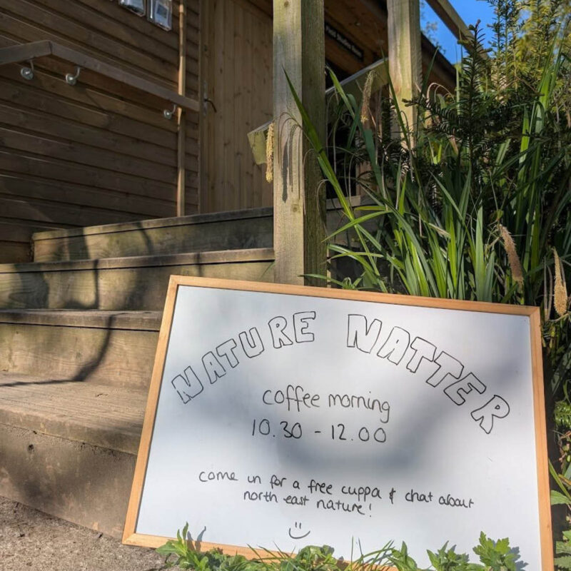 A small whiteboard sign sits in the grass outside a wooden building at Gosforth Nature Reserve. In black pen, someone has written: Nature Natter Coffee Morning, 10:30am to 12pm. Come in for a free cuppa and chat about North East nature.