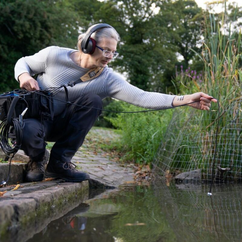 Sonic pond dipping – Sunday 29th June