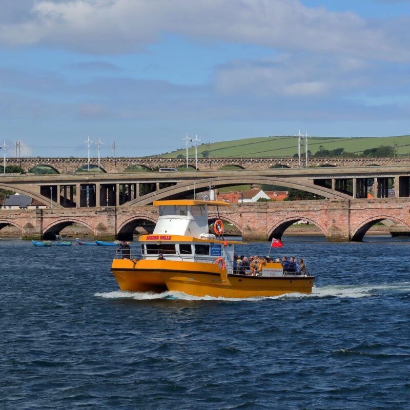 Berwick Boat Trips