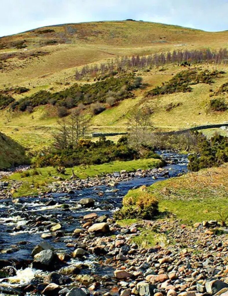 WOOLER COMMON AND CAREY BURN CIRCULAR