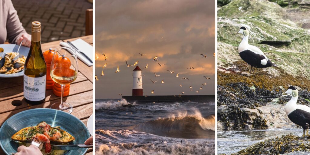 North Northumberland know-abouts: Exploring Berwick, Bamburgh, Beadnell and beyond.