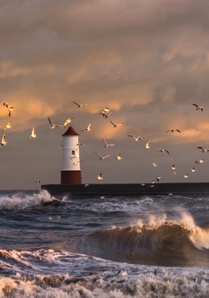 North Northumberland know-abouts: Exploring Berwick, Bamburgh, Beadnell and beyond.
